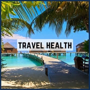 Link to learn about travel health services.